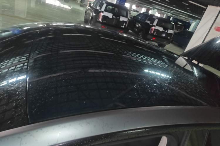 Used Tesla Model Y 2022 Rear-Wheel-Drive Version Roof