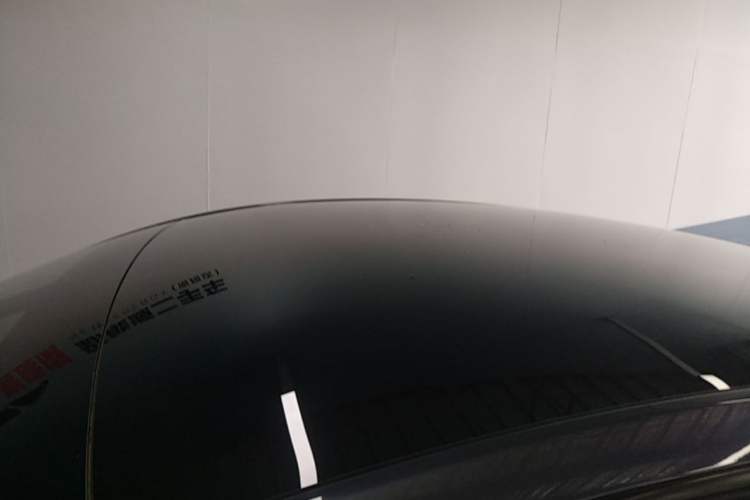Used Tesla Model Y 2022 Rear-Wheel-Drive Version Roof