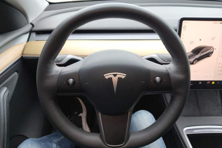 Used Tesla Model Y 2022 Rear-Wheel-Drive Version Steering Wheel
