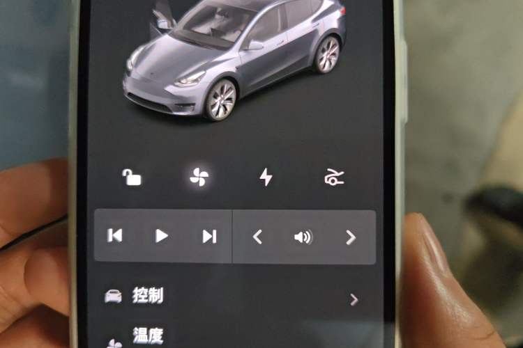 Used Tesla Model Y 2022 Rear-Wheel-Drive Version Vehicle Key
