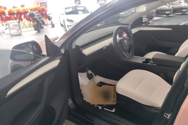 Used Tesla Model Y 2022 Revised Version Rear-Wheel Drive Driver Seat