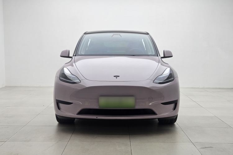 Used Tesla Model Y 2022 Rear-Wheel-Drive Version Exterior 1