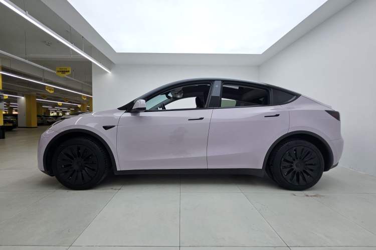 Used Tesla Model Y 2022 Rear-Wheel-Drive Version Exterior 6