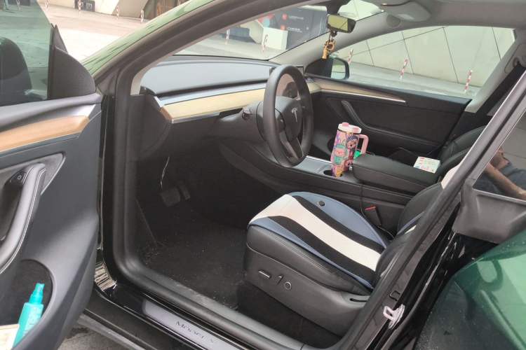 Used Tesla Model Y 2022 Revised Version Rear-Wheel Drive Driver Seat