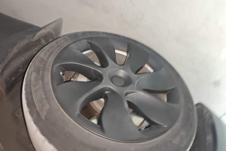 Used Tesla Model Y 2022 Revised Version Long-Range All-Wheel Drive Exterior 4