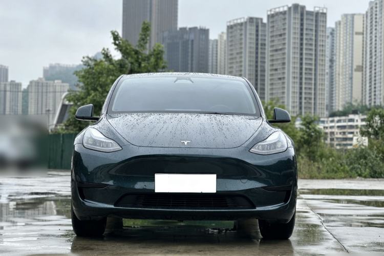 Used Tesla Model Y 2022 Revised Version Rear-Wheel Drive Exterior 6