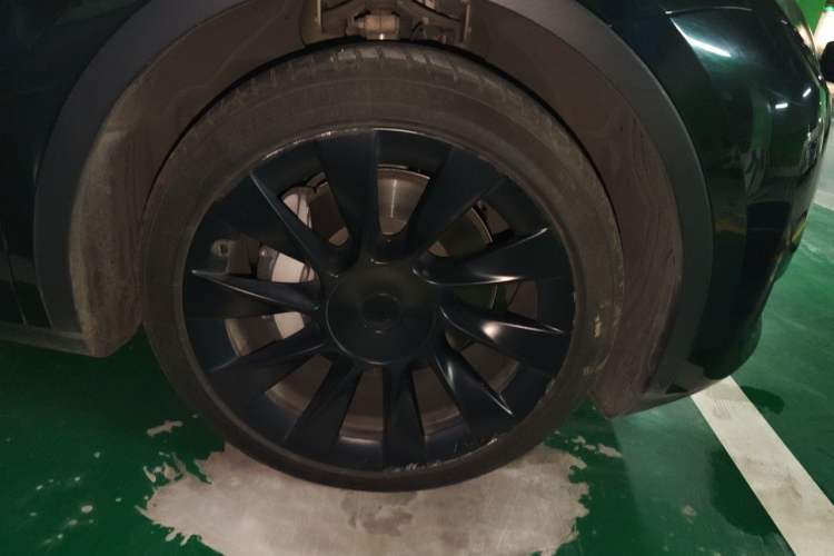 Used Tesla Model Y 2022 Revised Version Rear-Wheel Drive Exterior 7