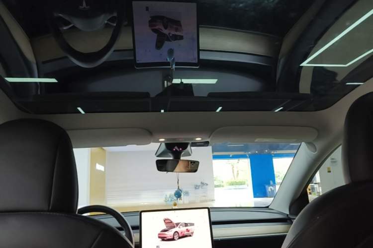 Used Tesla Model Y 2022 Long-Range All-Wheel-Drive Version Headliner