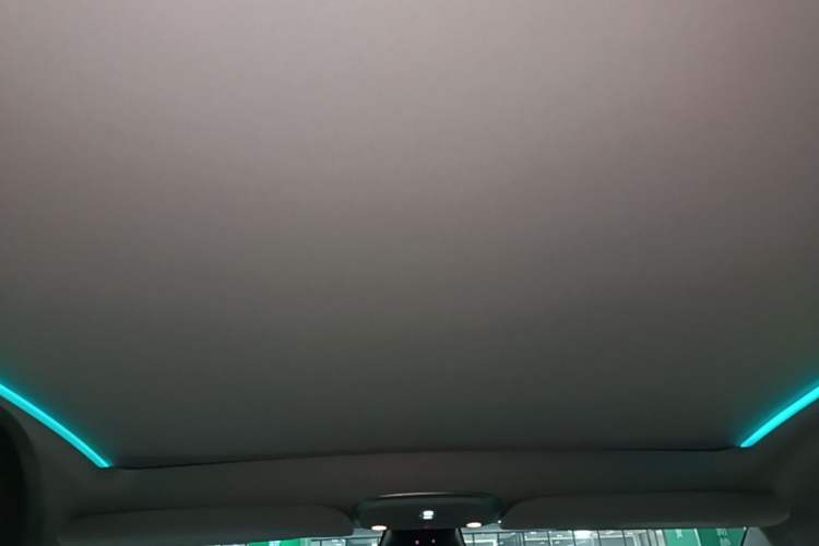 Used Tesla Model Y 2022 Revised Version Rear-Wheel Drive Headliner