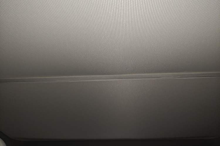 Used Tesla Model Y 2022 Rear-Wheel-Drive Version Headliner