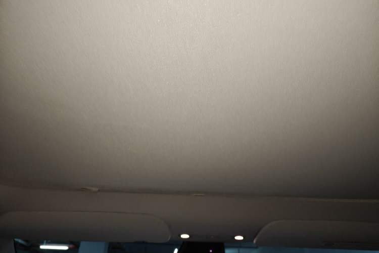 Used Tesla Model Y 2022 Rear-Wheel-Drive Version Headliner
