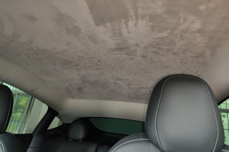 Used Tesla Model Y 2022 Long-Range All-Wheel-Drive Version Headliner