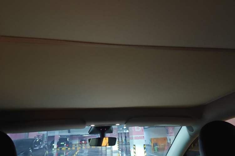Used Tesla Model Y 2022 Revised Version Rear-Wheel Drive Headliner
