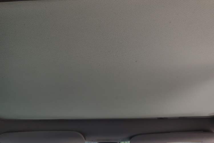 Used Tesla Model Y 2022 Revised Version Rear-Wheel Drive Headliner
