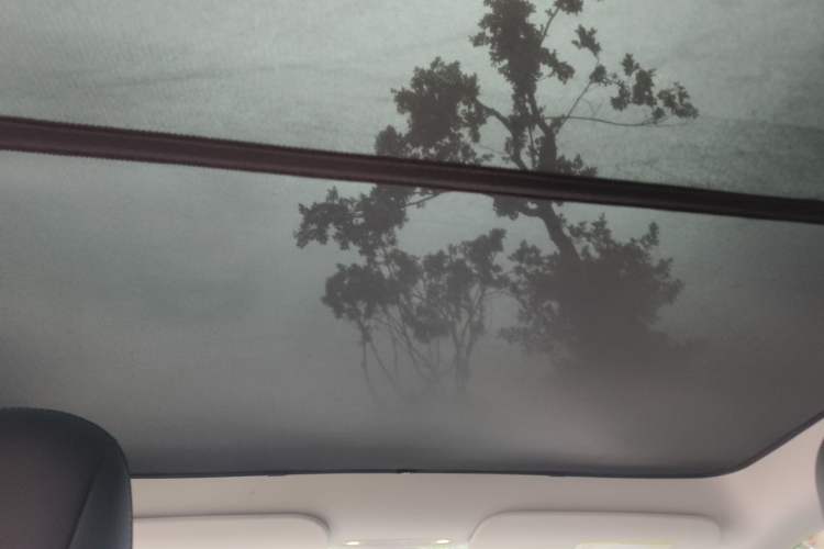 Used Tesla Model Y 2022 Revised Version Rear-Wheel Drive Headliner
