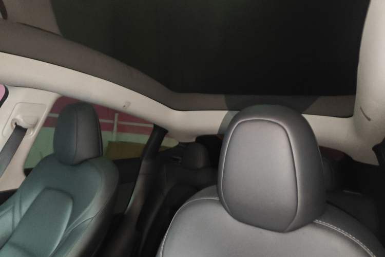 Used Tesla Model Y 2022 Revised Version Long-Range All-Wheel Drive Headliner