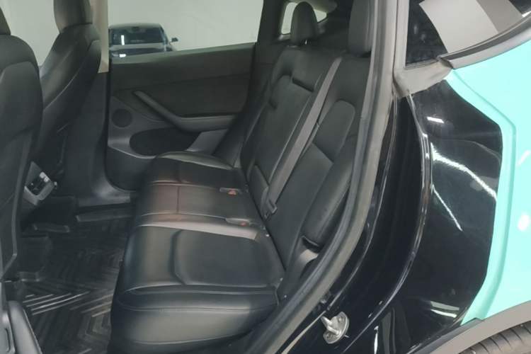 Used Tesla Model Y 2022 Long-Range All-Wheel-Drive Version Left Rear Seat