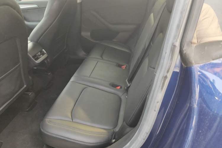 Used Tesla Model Y 2022 Rear-Wheel-Drive Version Left Rear Seat
