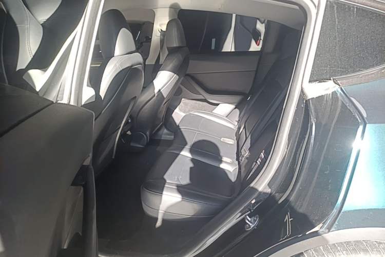 Used Tesla Model Y 2022 Revised Version Rear-Wheel Drive Left Rear Seat