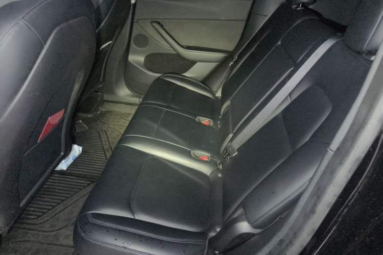 Used Tesla Model Y 2022 Rear-Wheel-Drive Version Left Rear Seat