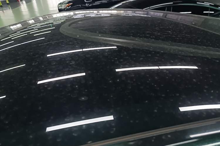 Used Tesla Model Y 2022 Revised Version Rear-Wheel Drive Roof