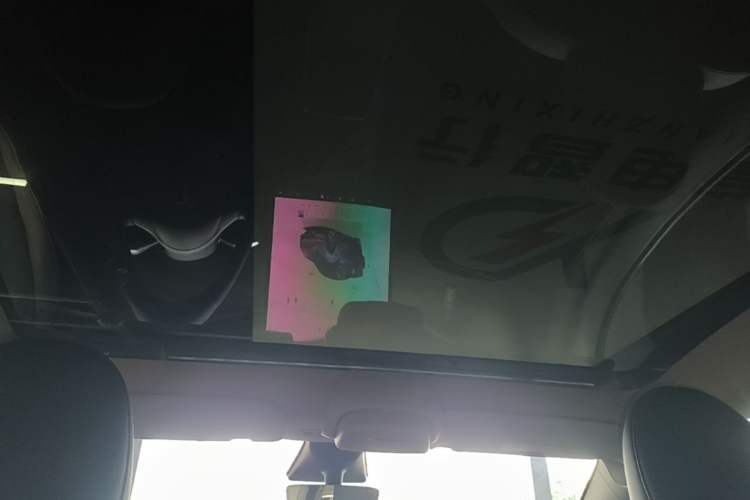 Used Tesla Model Y 2022 Rear-Wheel-Drive Version Headliner