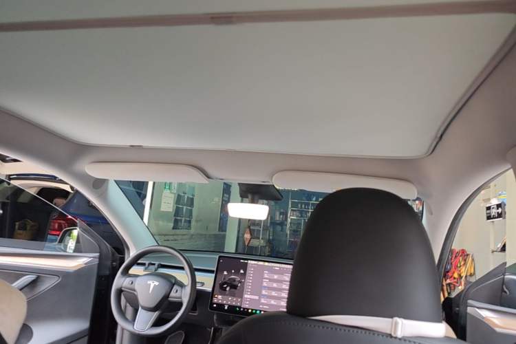 Used Tesla Model Y 2022 Revised Version Rear-Wheel Drive Headliner