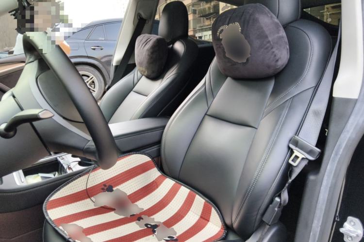 Used Tesla Model Y 2022 Rear-Wheel-Drive Version Left Front Seat