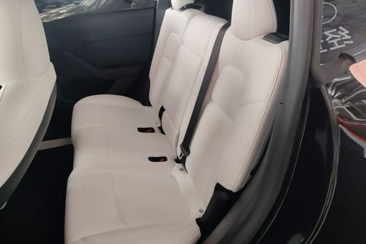 Used Tesla Model Y 2022 Revised Version Rear-Wheel Drive Left Rear Seat