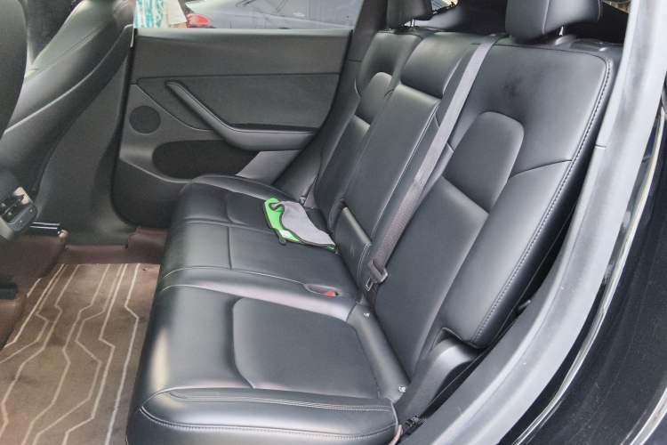 Used Tesla Model Y 2022 Rear-Wheel-Drive Version Left Rear Seat