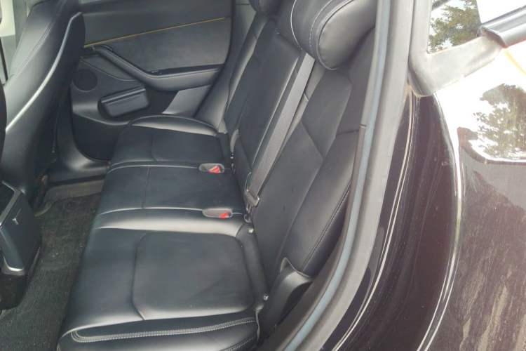 Used Tesla Model Y 2022 Long-Range All-Wheel-Drive Version Left Rear Seat