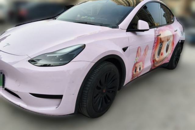 Used Tesla Model Y 2022 Rear-Wheel-Drive Version