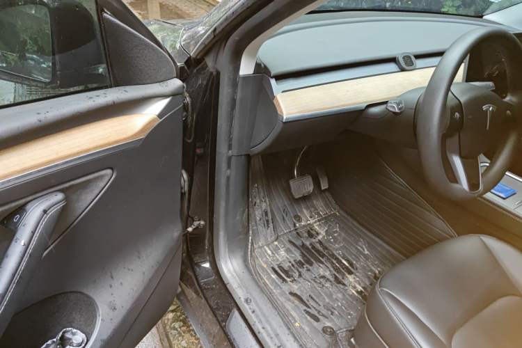 Used Tesla Model Y 2022 Rear-Wheel-Drive Version Driver Seat