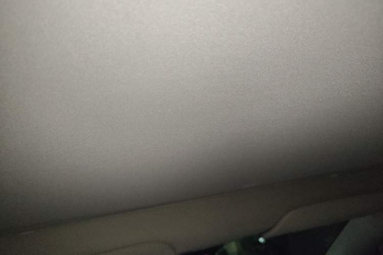 Used Tesla Model Y 2022 Rear-Wheel-Drive Version Headliner