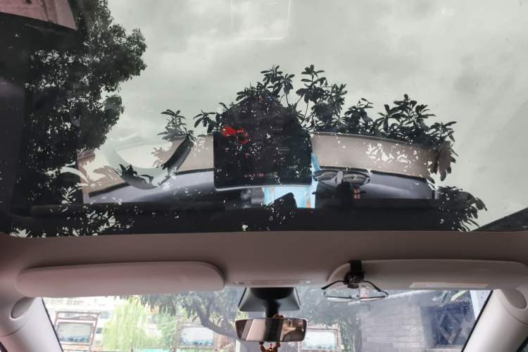 Used Tesla Model Y 2022 Revised Version Rear-Wheel Drive Headliner