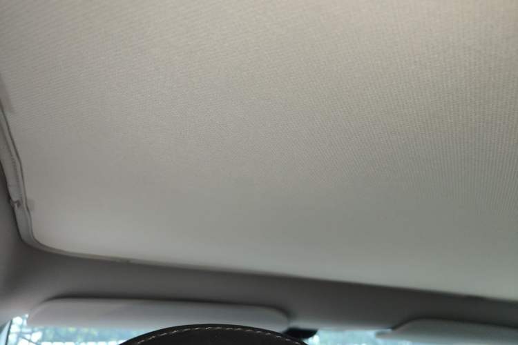 Used Tesla Model Y 2022 Revised Version Rear-Wheel Drive Headliner