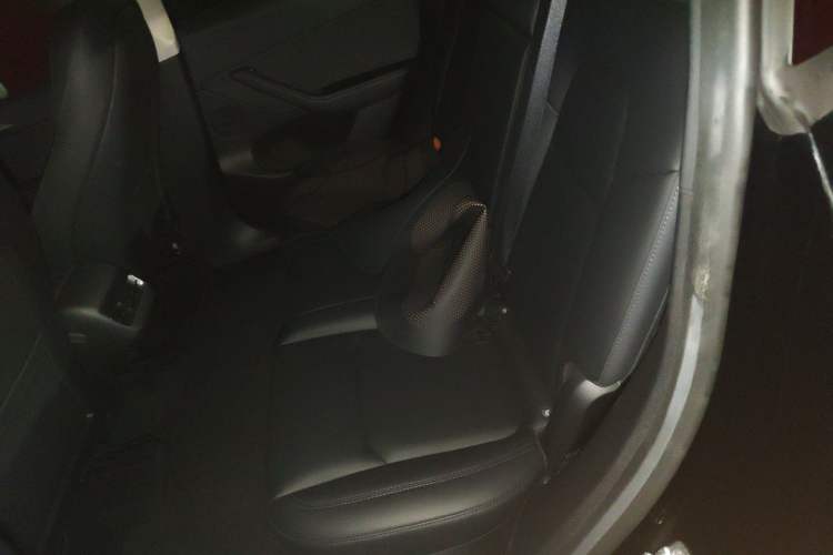 Used Tesla Model Y 2022 Revised Version Rear-Wheel Drive Left Rear Seat