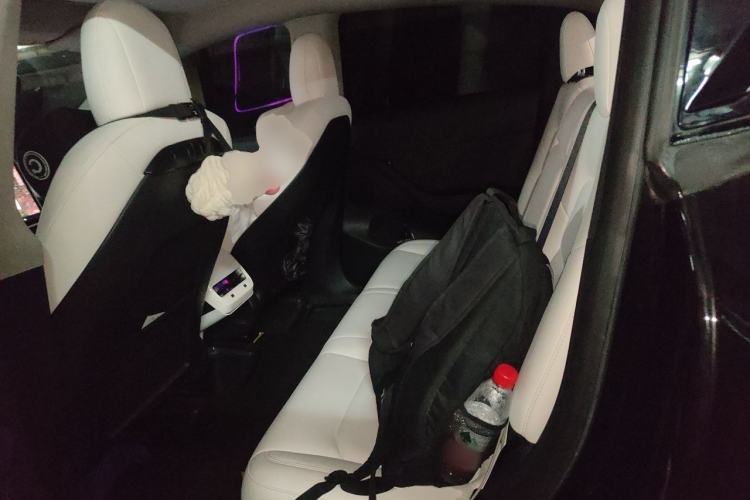 Used Tesla Model Y 2022 Rear-Wheel-Drive Version Left Rear Seat