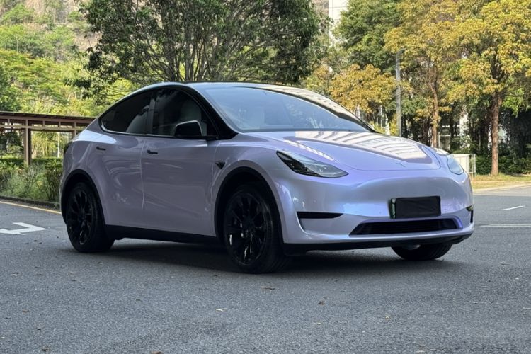 Used Tesla Model Y 2022 Revised Version Rear-Wheel Drive Exterior 10