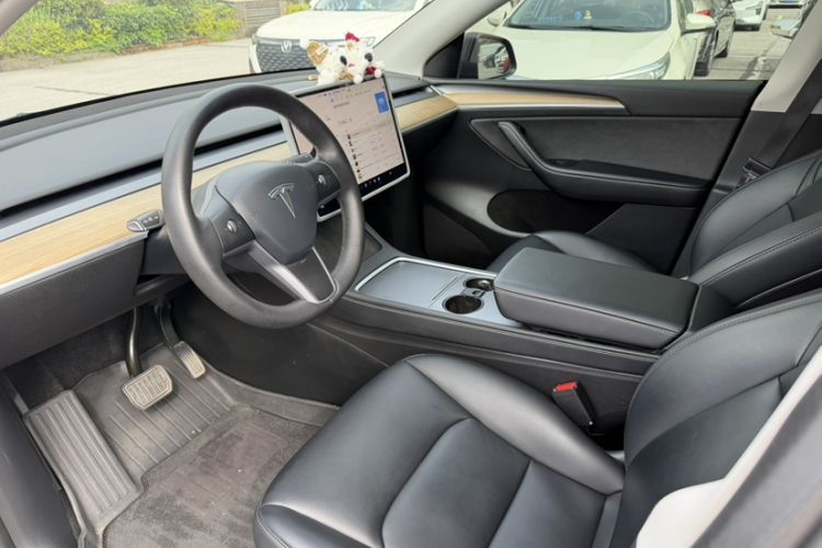 Used Tesla Model Y 2022 Rear-Wheel-Drive Version Exterior 10
