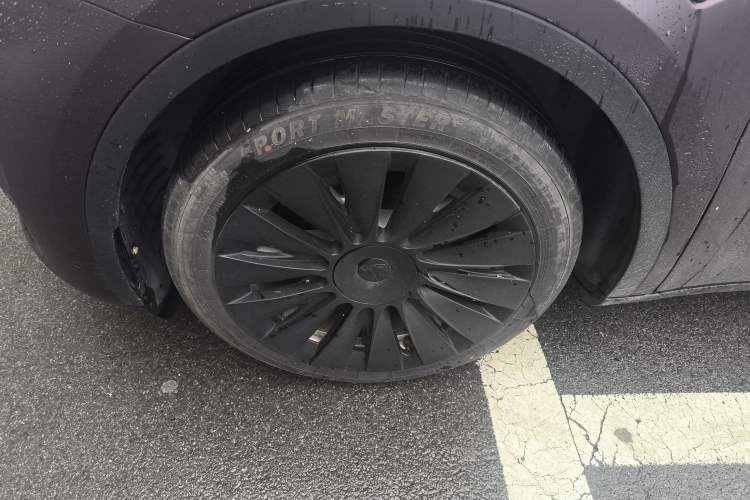 Used Tesla Model Y 2022 Rear-Wheel-Drive Version Exterior 2