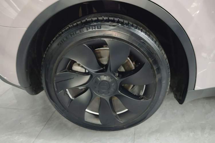 Used Tesla Model Y 2022 Revised Version Rear-Wheel Drive Exterior 5