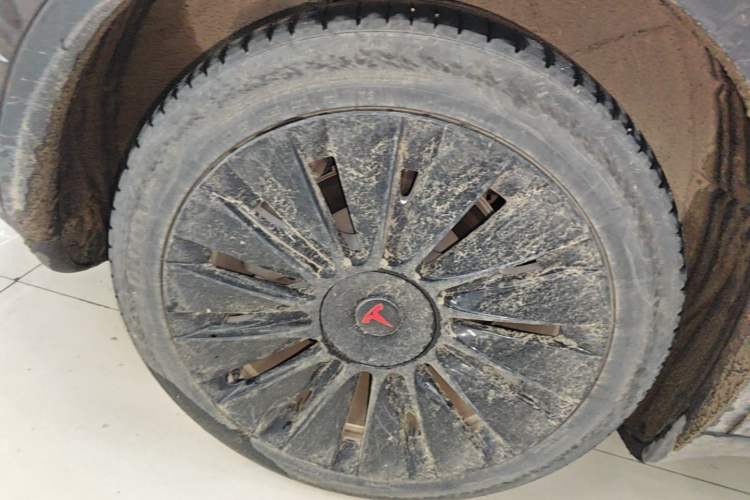 Used Tesla Model Y 2022 Rear-Wheel-Drive Version Exterior 5