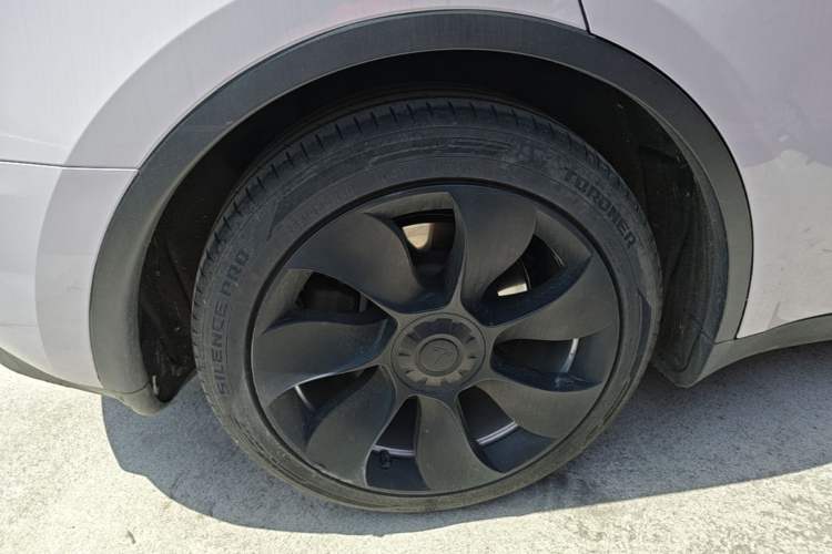 Used Tesla Model Y 2022 Revised Version Rear-Wheel Drive Exterior 5