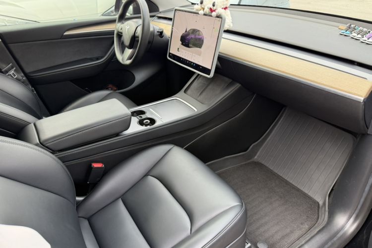 Used Tesla Model Y 2022 Rear-Wheel-Drive Version Exterior 8