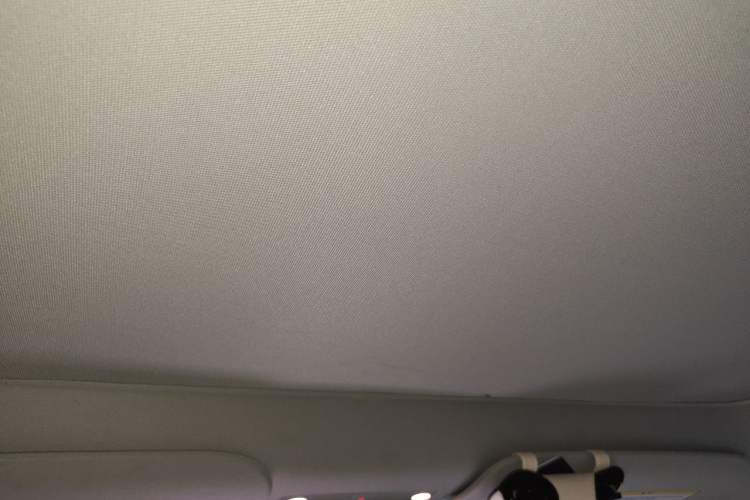 Used Tesla Model Y 2022 Rear-Wheel-Drive Version Headliner