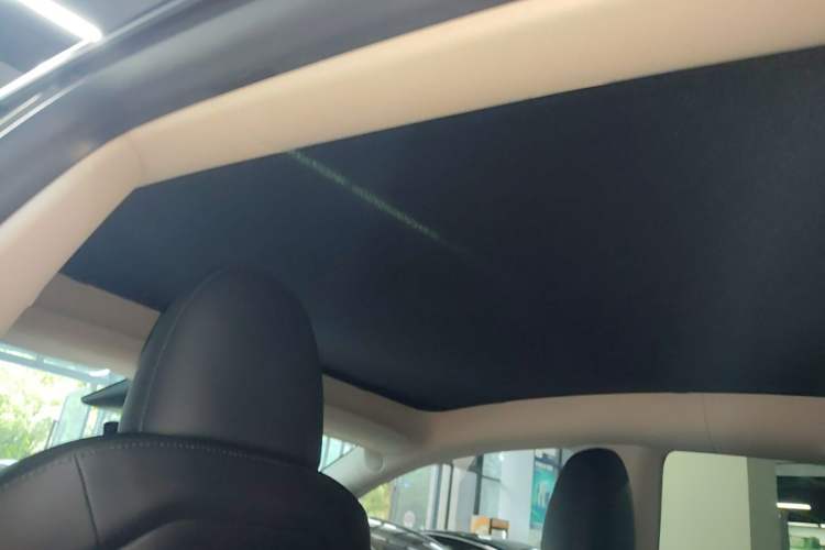 Used Tesla Model Y 2022 Revised Version Rear-Wheel Drive Headliner