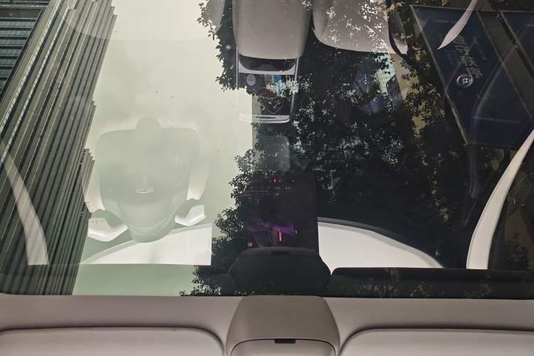 Used Tesla Model Y 2022 Performance High-Performance All-Wheel-Drive Version Headliner