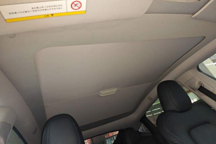 Used Tesla Model Y 2022 Rear-Wheel-Drive Version Headliner