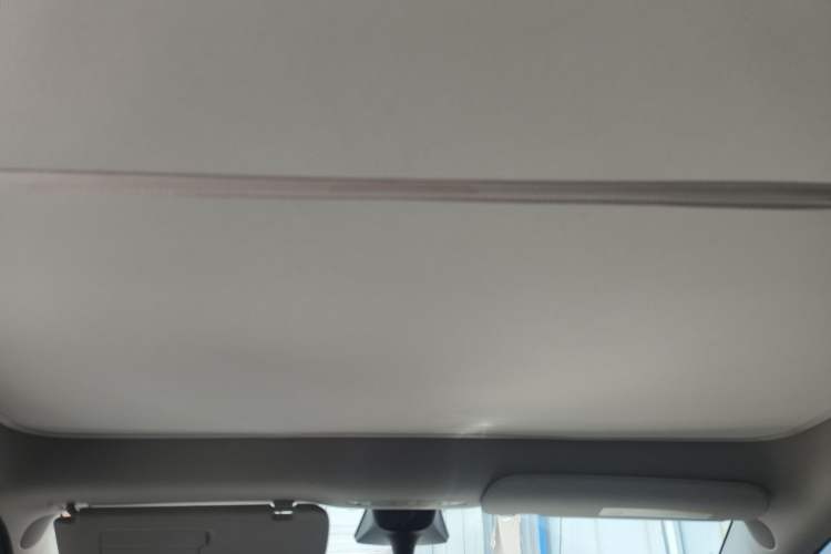 Used Tesla Model Y 2022 Long-Range All-Wheel-Drive Version Headliner